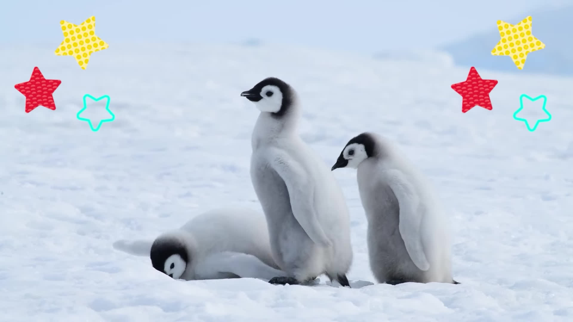 پوستر نگاه نزدیک به حیوانات دریایی! بیبی اینشتین برنامه آموزشی...