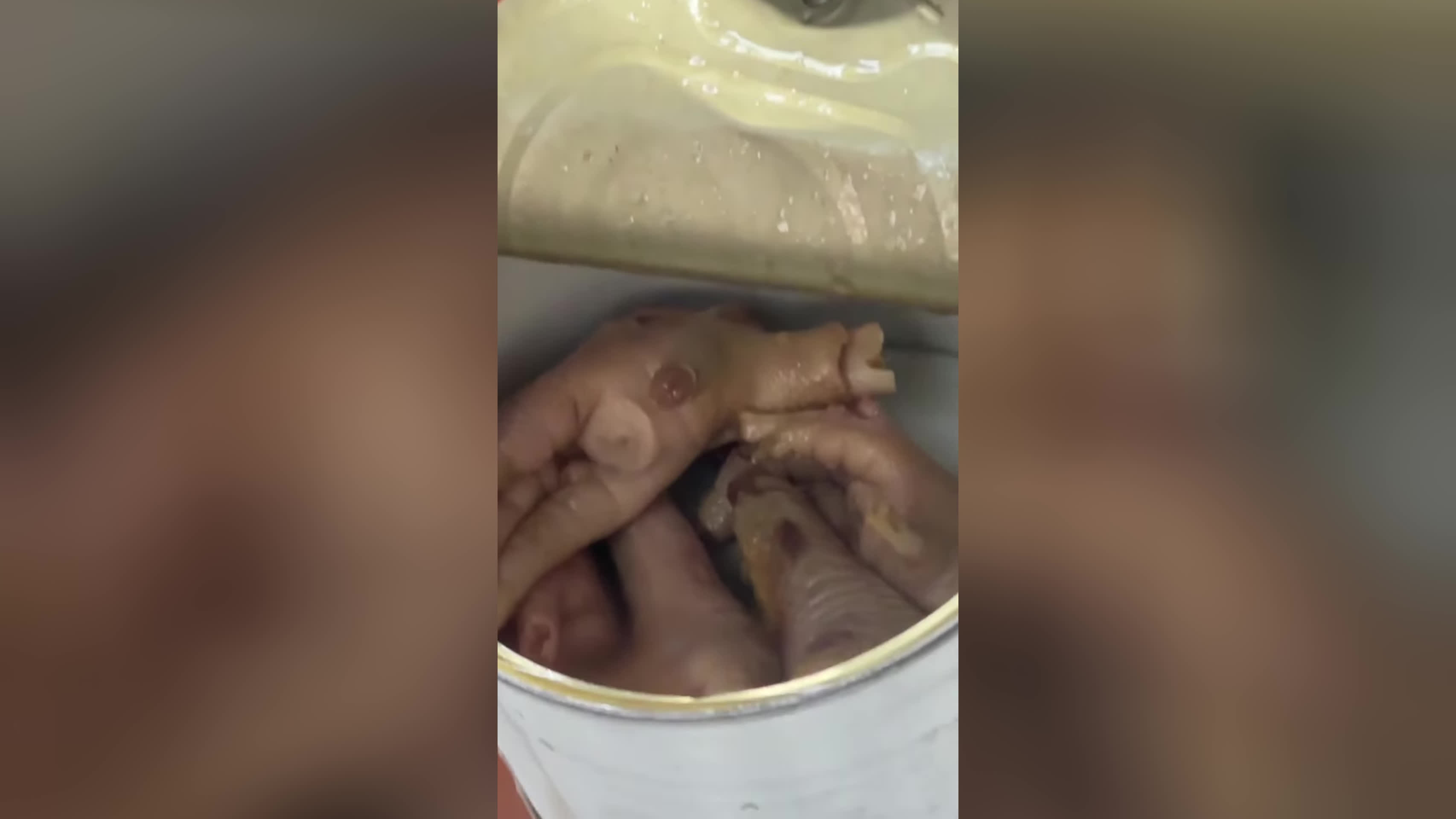 پوستر جالب‌ترین کنسروهایی که در ایران موجود است! 😱😱 ویدیو کامل...