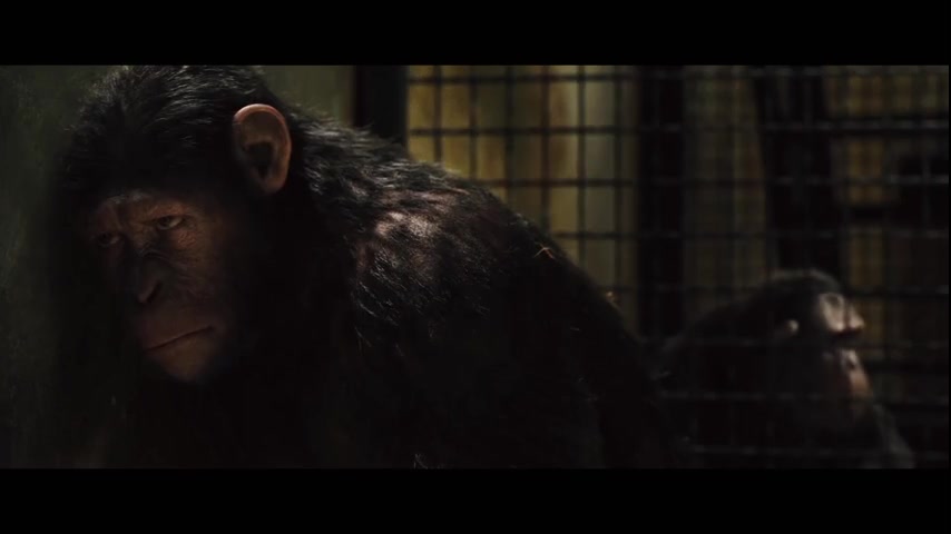 فیلم سینمایی ظهور سیاره میمون ها 2011 دوبله فارسی