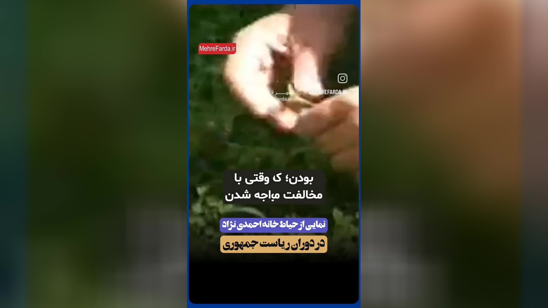 سبزی کاری احمدی نژاد