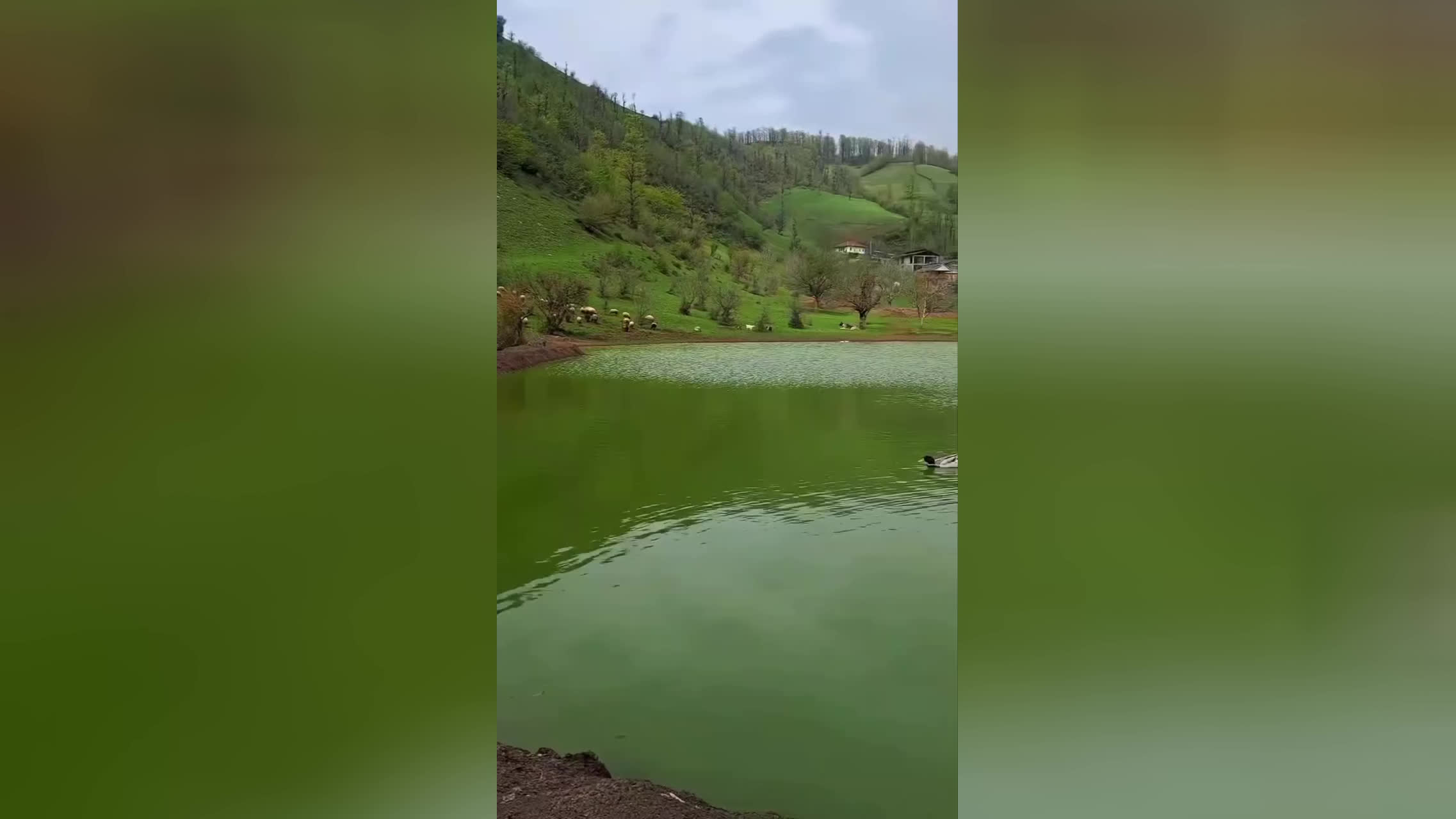 پوستر طبیعتی زیبا و هوایی دلپذیر با آهنگی آرام...