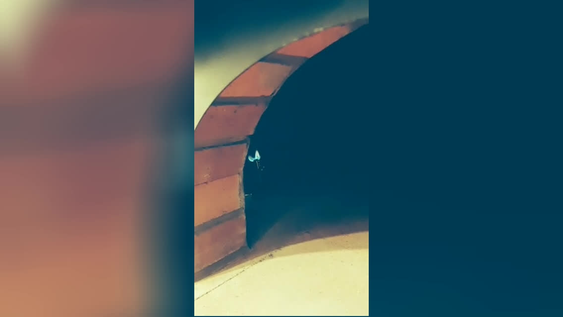 روش صحیح روشن کردن فر پیتزا