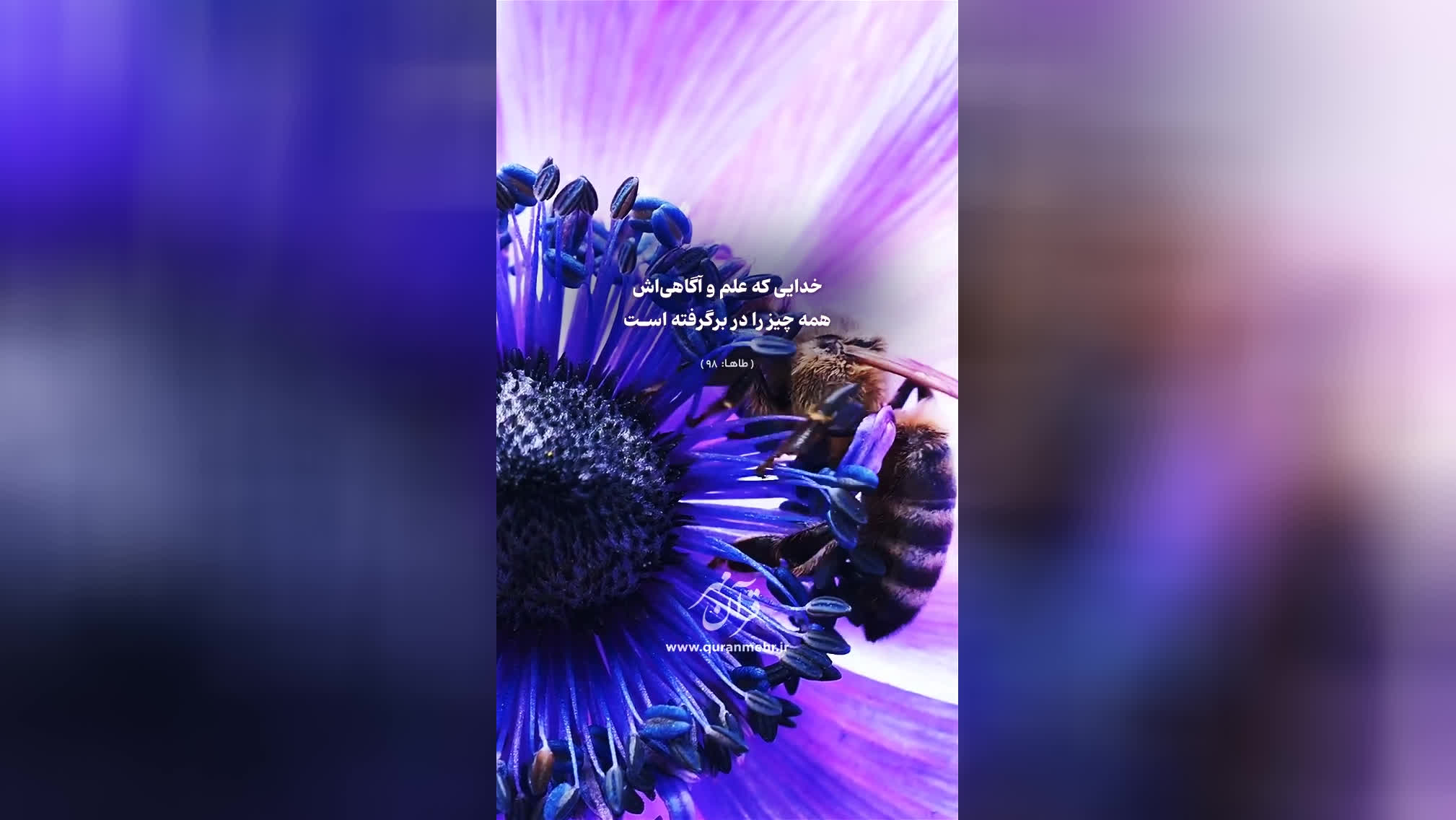 معبود یکتا - سوره طاها آیه 98 (قرآن مهر)