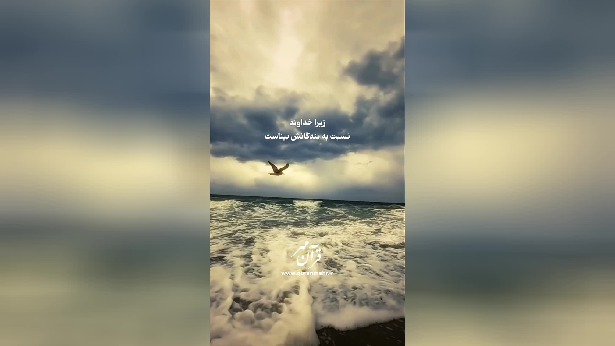 توکل بر خدا - سوره غافر آیه 44 (قرآن مهر)