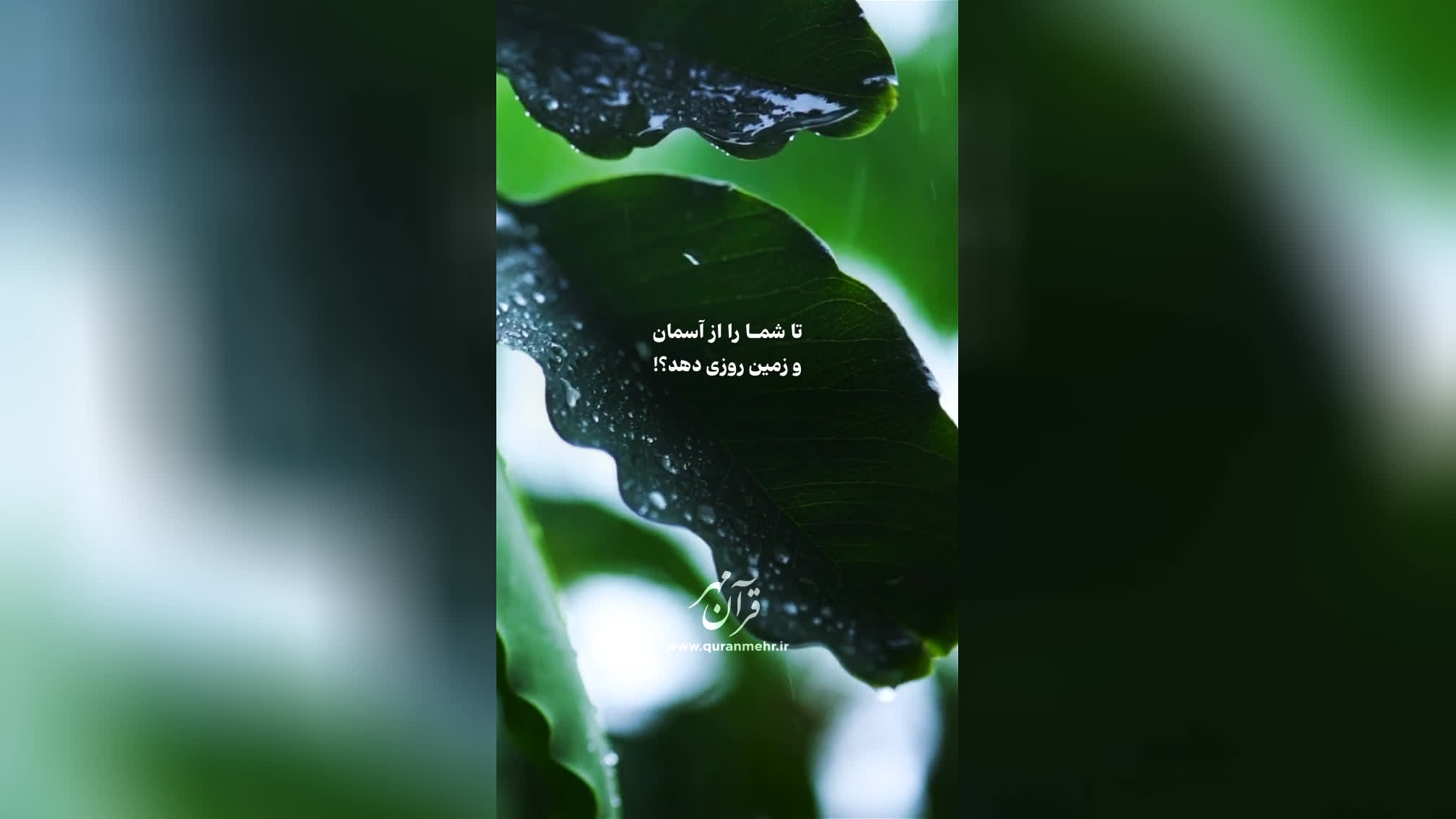 مسیر حق - سوره فاطر آیه 3 (قرآن مهر)