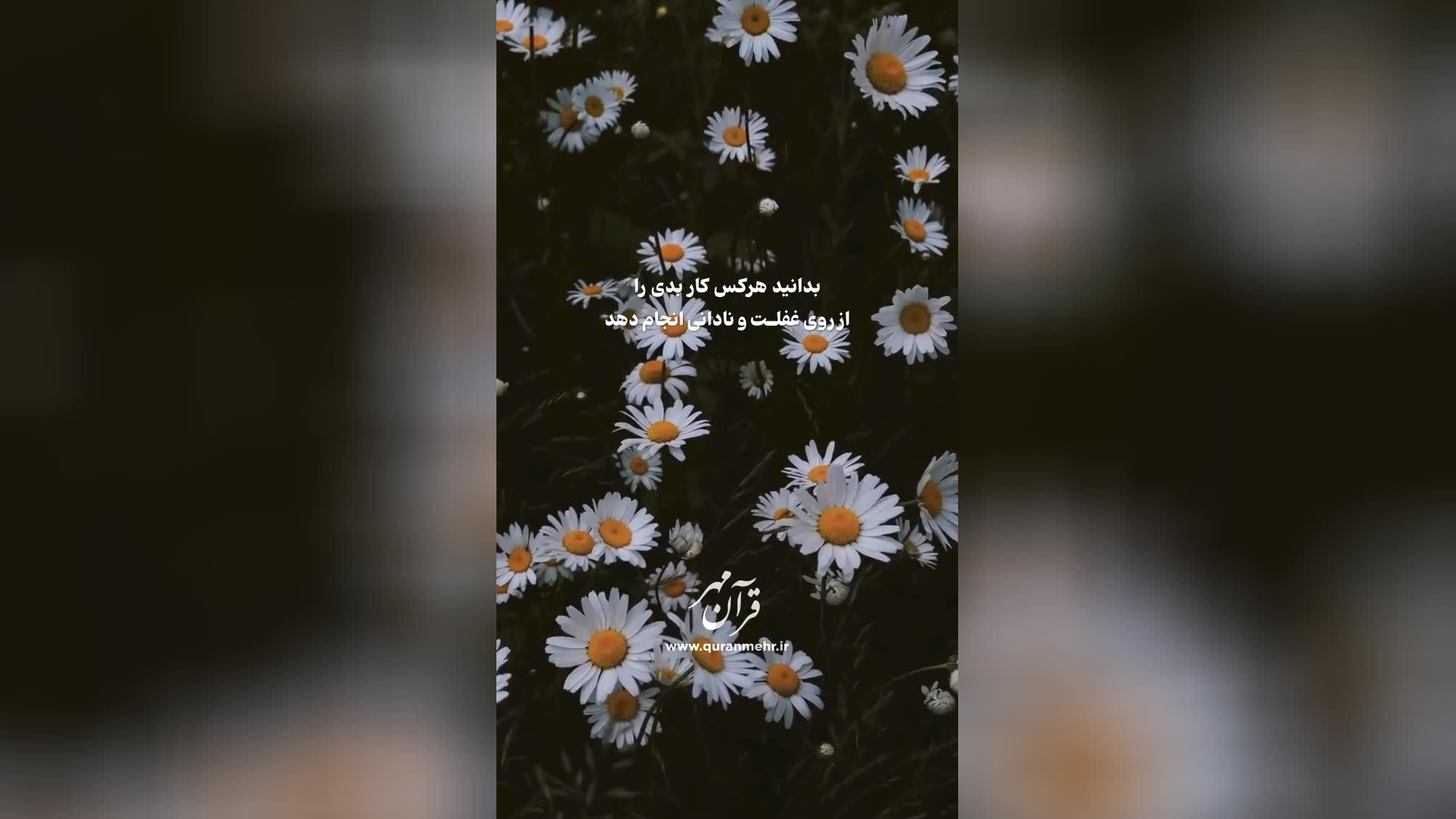 رحمت خدا - سوره انعام آیه 54 (قرآن مهر)